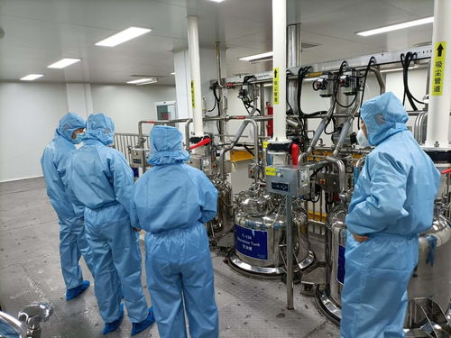 山东华素护理品获消毒产品生产企业卫生许可，开启专业消毒服务新篇章