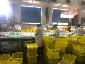 守护舌尖安全 我市持续推进餐饮具集中消毒质量提升行动