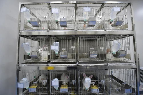 科创质量邀您共赴2021第十一届植入介入医疗器械创新峰会 消毒服务引领行业新标准