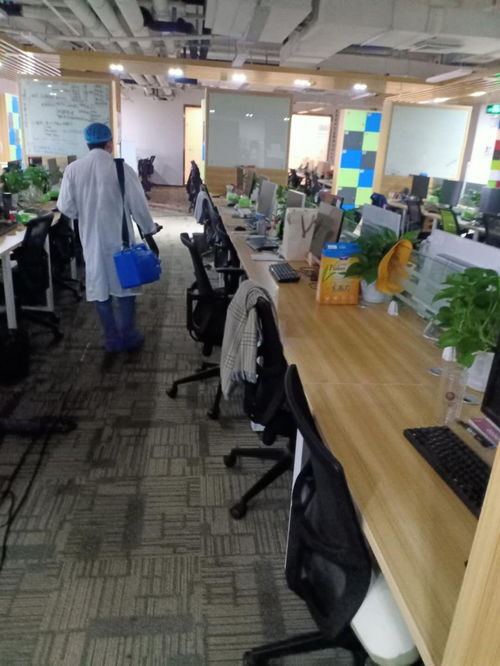 深圳室内消毒杀菌 打造安全健康的办公与居家环境