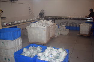 内江市东兴区力净消毒餐具配送中心 专业消毒，优质服务，守护健康